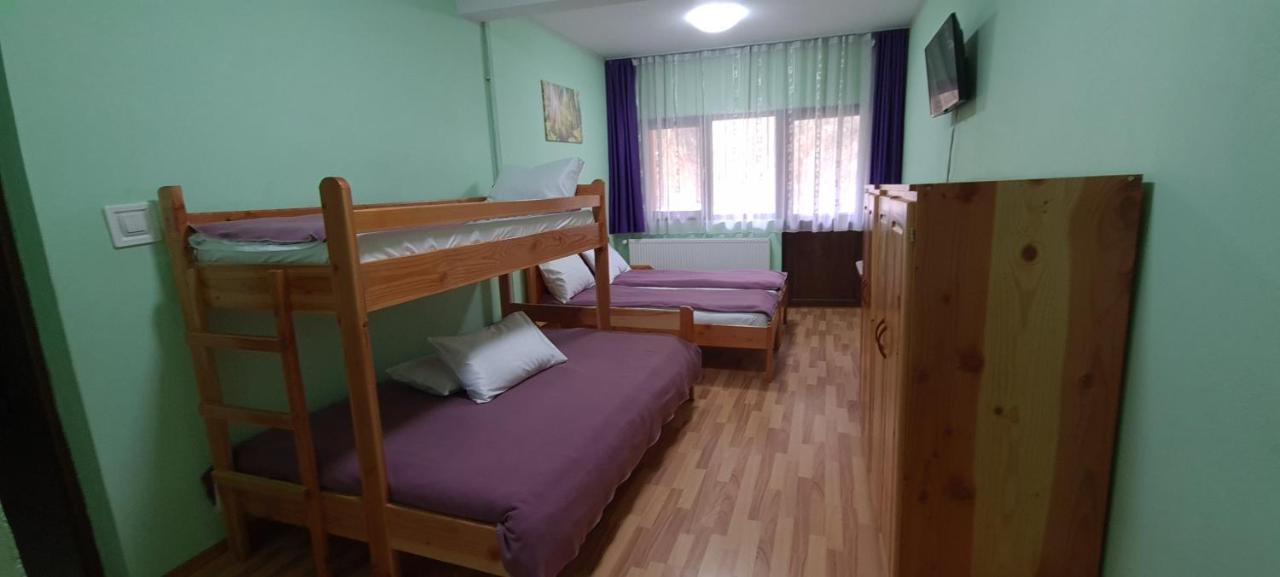 Pensiunea Aurora - Great Hostel Voineasa Bagian luar foto