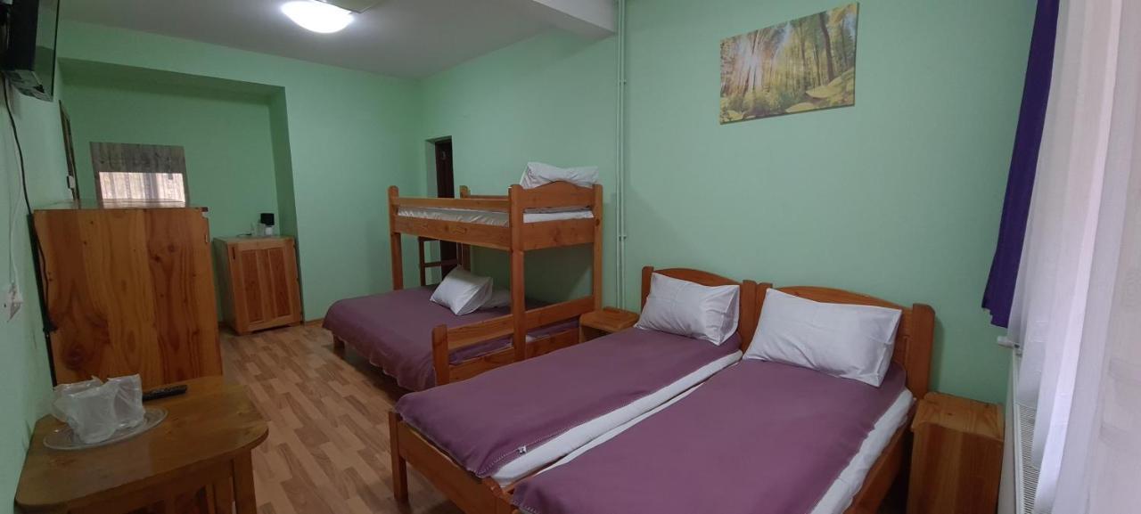Pensiunea Aurora - Great Hostel Voineasa Bagian luar foto