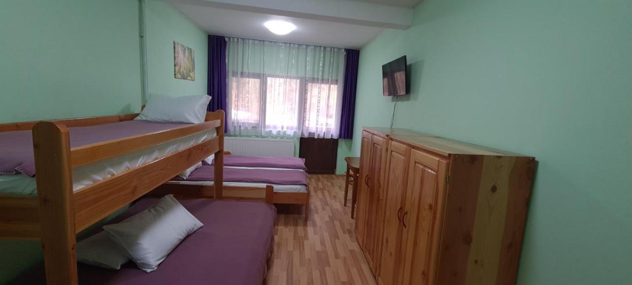 Pensiunea Aurora - Great Hostel Voineasa Bagian luar foto