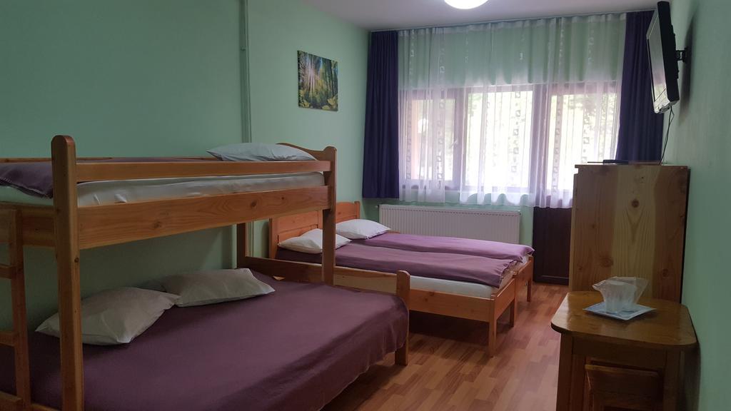 Pensiunea Aurora - Great Hostel Voineasa Bagian luar foto